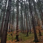 Horska V Srdci Kremnickych Hor * Banska Bystrica