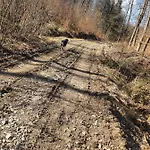 Horska V Srdci Kremnickych Hor Domek alpejski