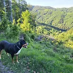 Horska V Srdci Kremnickych Hor Domek alpejski Bańska Bystrzyca