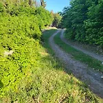 Horska V Srdci Kremnickych Hor Domek alpejski Bańska Bystrzyca