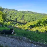 Horska V Srdci Kremnickych Hor Domek alpejski *