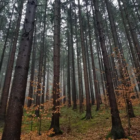 Horska V Srdci Kremnickych Hor * Besztercebánya