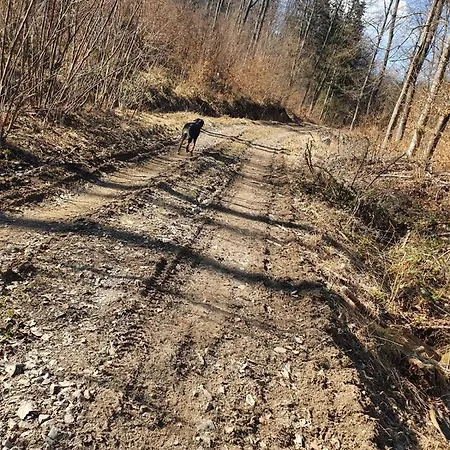 Horska V Srdci Kremnickych Hor Alpehytte