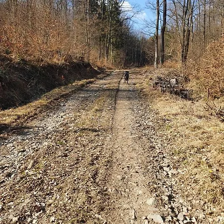 Horska V Srdci Kremnickych Hor