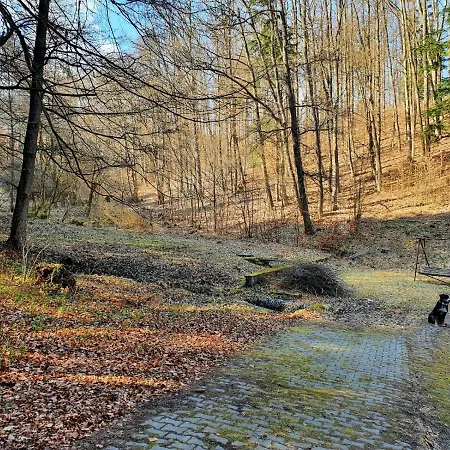 Horska V Srdci Kremnickych Hor * Banská Bystrica