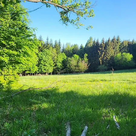 Horska V Srdci Kremnickych Hor Banská Bystrica