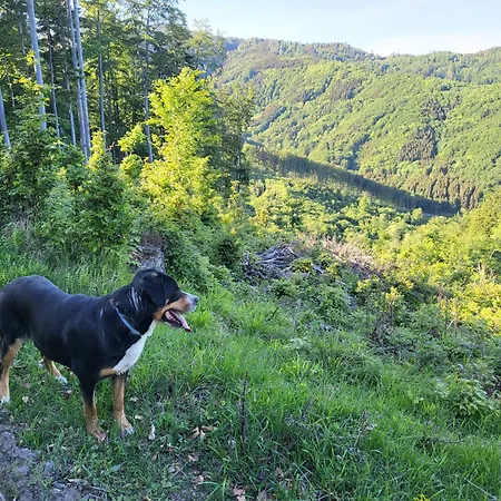 Horska V Srdci Kremnickych Hor Horská chata Banská Bystrica
