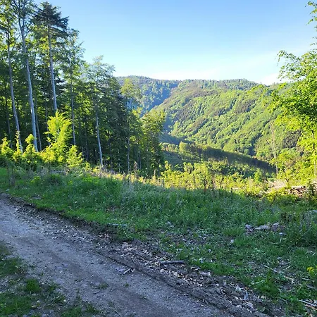 Horska V Srdci Kremnickych Hor Banská Bystrica