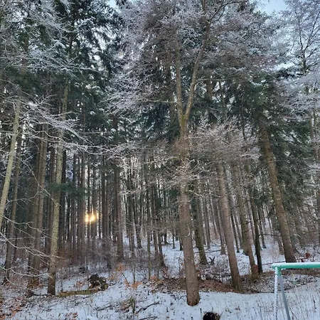 Chalet Horska V Srdci Kremnickych Hor *