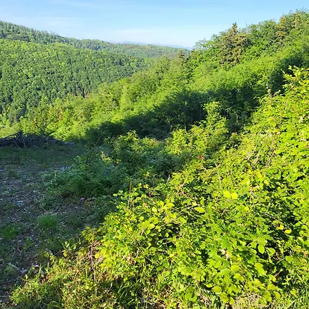 Horska V Srdci Kremnickych Hor