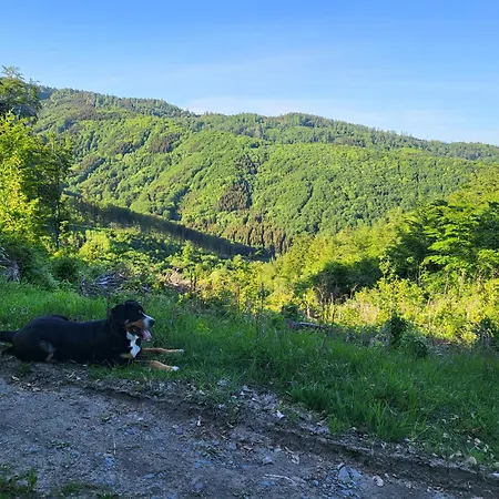 Horska V Srdci Kremnickych Hor Horská chata *