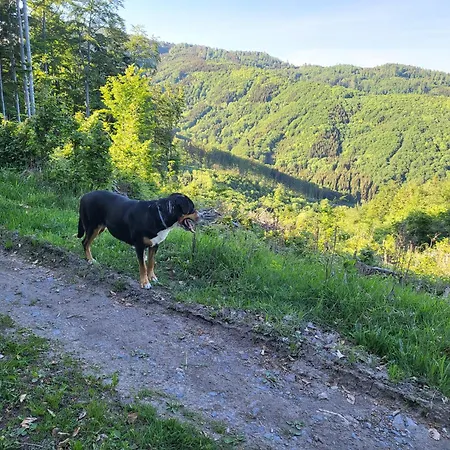 Alpehytte Horska V Srdci Kremnickych Hor *