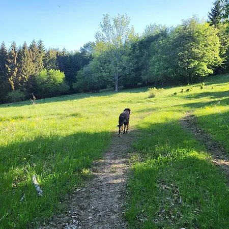 Horska V Srdci Kremnickych Hor *