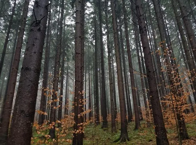 Horska V Srdci Kremnickych Hor * Banská Bystrica