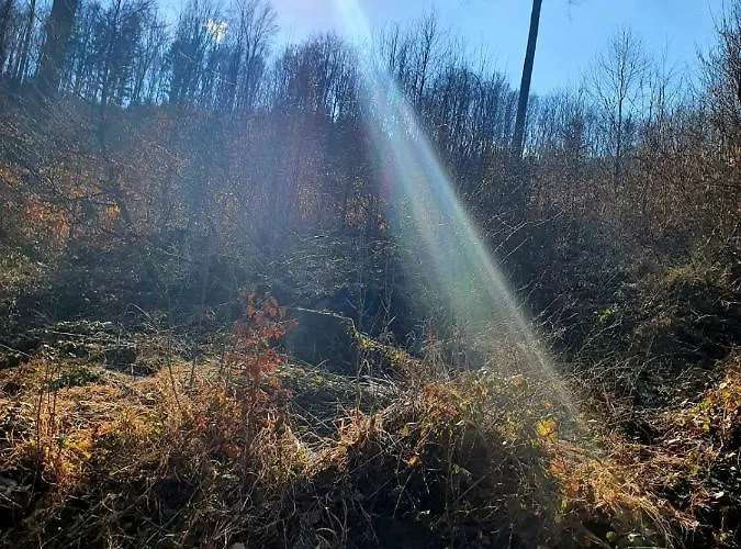 Horska V Srdci Kremnickych Hor Chalet