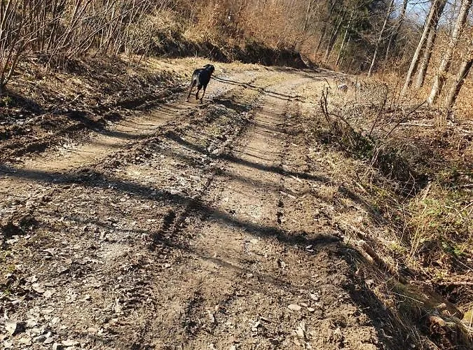 Horska V Srdci Kremnickych Hor Chalet