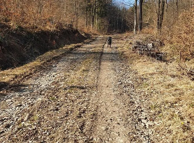 Horska V Srdci Kremnickych Hor