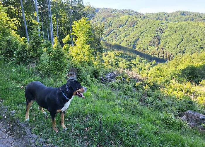 Horska V Srdci Kremnickych Hor Chalet Banská Bystrica