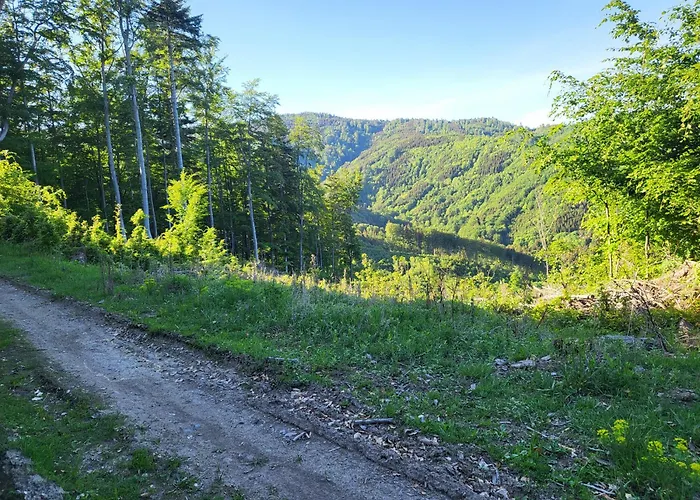Horska V Srdci Kremnickych Hor Banská Bystrica