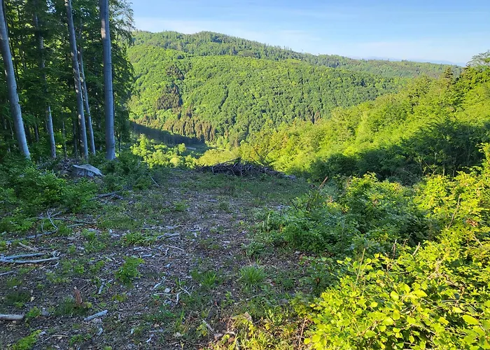 Chalet Horska V Srdci Kremnickych Hor