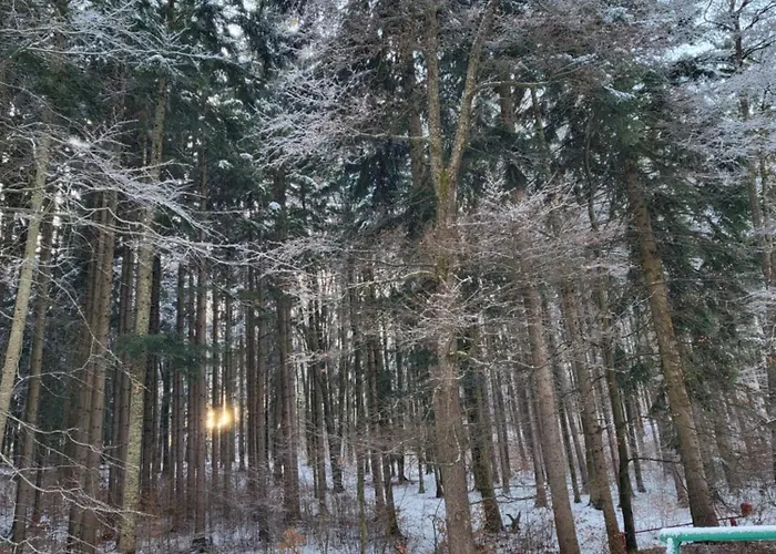 Chalet Horska V Srdci Kremnickych Hor *