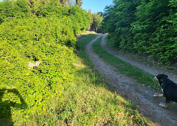 Horska V Srdci Kremnickych Hor Chalet Banská Bystrica
