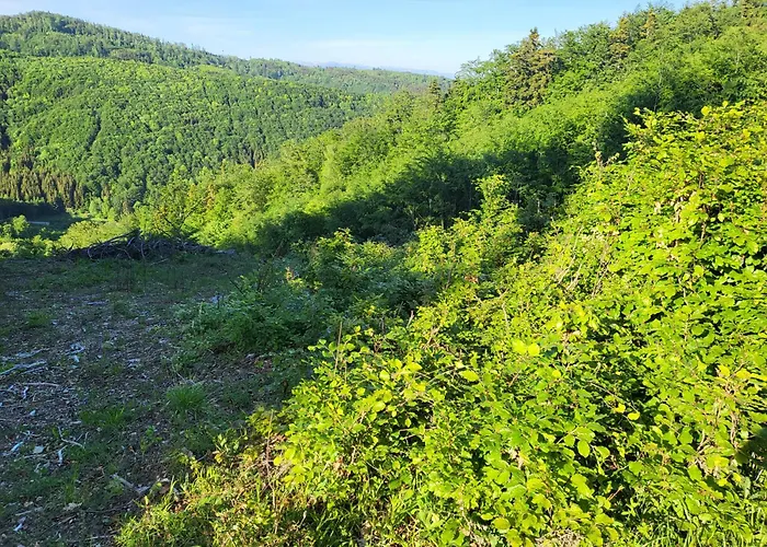 Horska V Srdci Kremnickych Hor