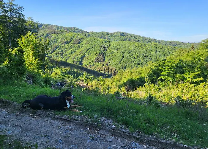 Horska V Srdci Kremnickych Hor Chalet *