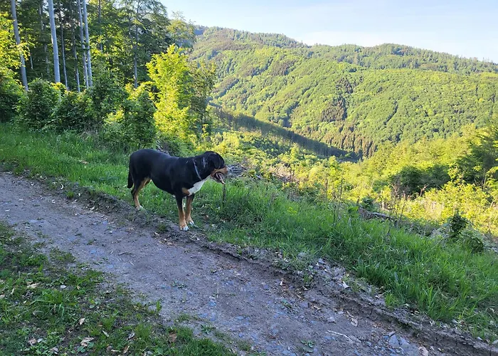 Chalet Horska V Srdci Kremnickych Hor *