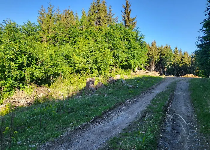 Chalet Horska V Srdci Kremnickych Hor *