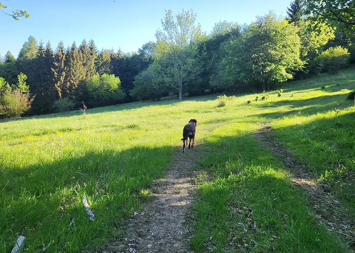 Horska V Srdci Kremnickych Hor *